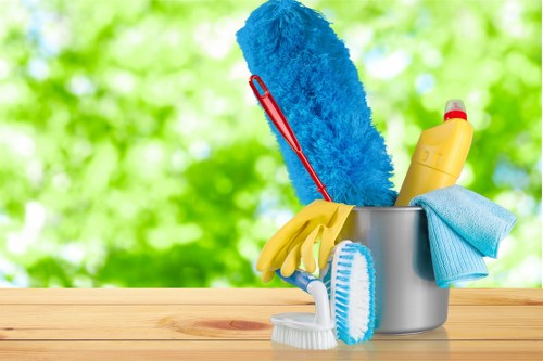 Professional oven cleaning service for homes in Hounslow