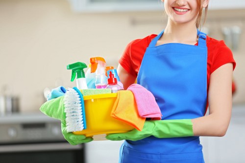 Deep cleaning service for Hounslow homes and commercial properties