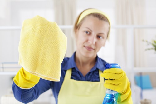 Exterior and interior glass cleaning for houses and flats in Hounslow