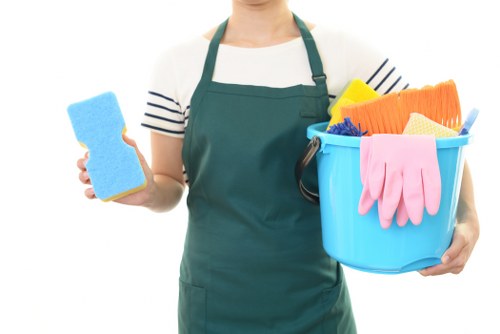 Domestic cleaning service for a Hounslow home interior