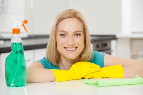 Professional pet stain odour removal for carpeted homes in Hounslow