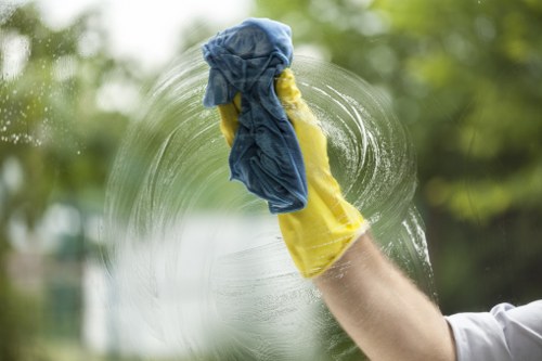 Local Hounslow specialist cleaning pet accident marks from rugs