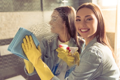 Professional carpet care process showing attention to fibres and stains