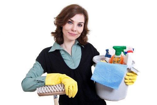 Domestic cleaning visit in a Hounslow flat